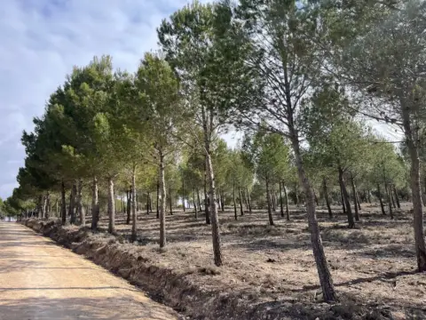 Terreno en Carretera Rada de Haro, 1
