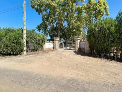 Finca rústica en calle Polígono 1 Paraje 21 La Zorzala