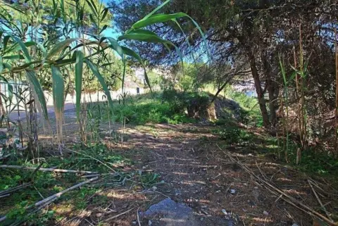Terreno en Torremuelle