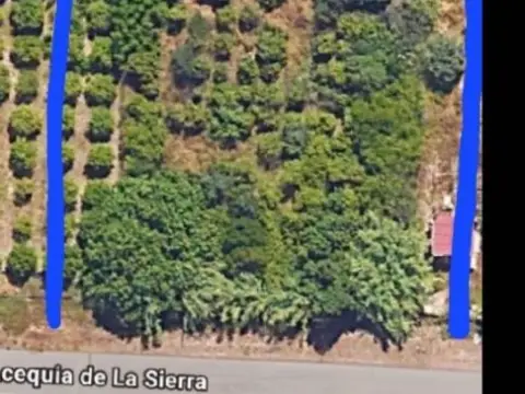 Terreno en El Palmar