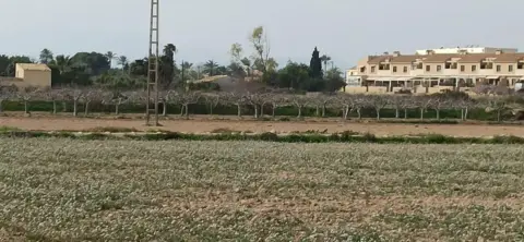 Terreno en Perleta