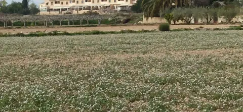 Terreno en Perleta