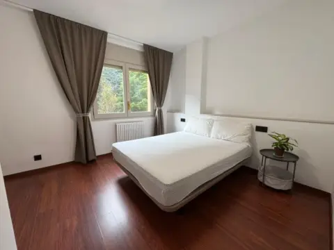 3-bedroom flat for sale in La Massana · 42 of 60