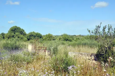 Terreno en Polígono 13
