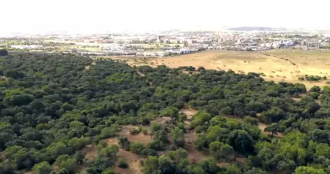 Terreno en Arruzafa