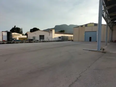 Nave industrial en Orihuela Ciudad