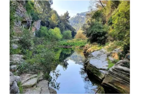 Terreno en Camí Arenes