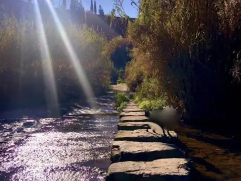 Terreno en Camí Arenes