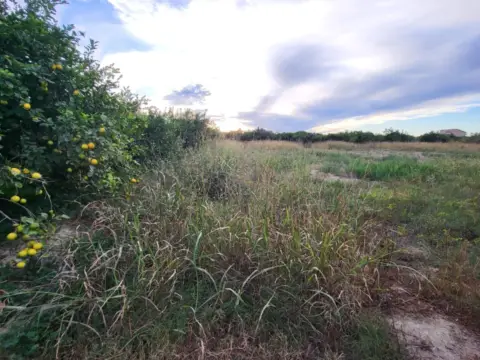 Terreno en Torreaguera