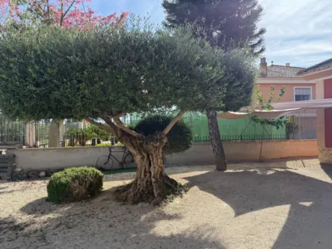 Chalet en Alquerías