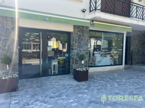 Local comercial en Centro Urbano 69