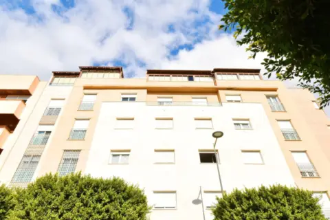 Piso en Centro Ejido