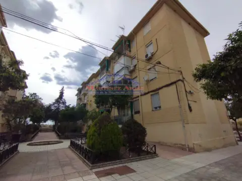 Piso en calle Núcleo Residencial La Paz, nº 2