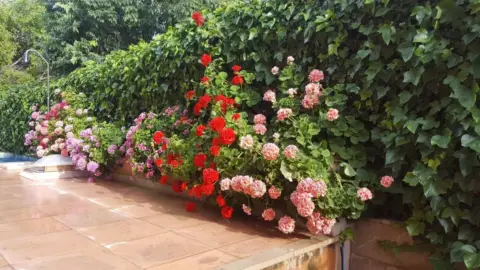 Chalet en Alicante Golf