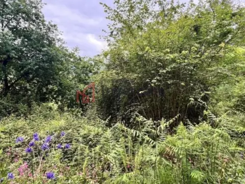 Chalet en Santa Cruz (Guriezo)