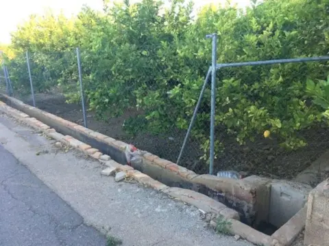 Terreno en Carretera de Fortuna, nº -0.02