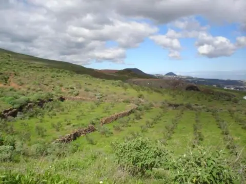 Finca rústica en Telde