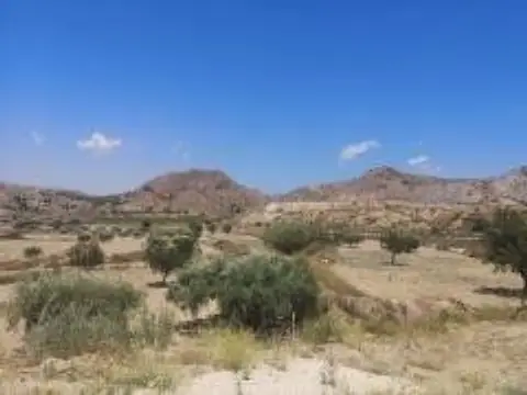 Terreno en Cañada del Fenollar