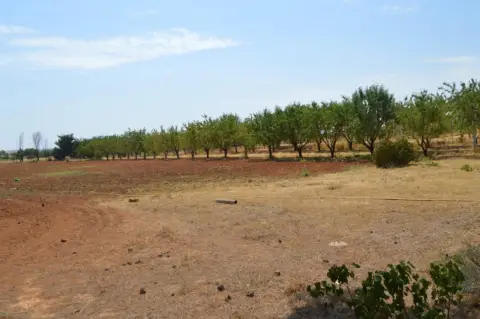 Terreno en calle Senda Arbolada - P248 - Poligono