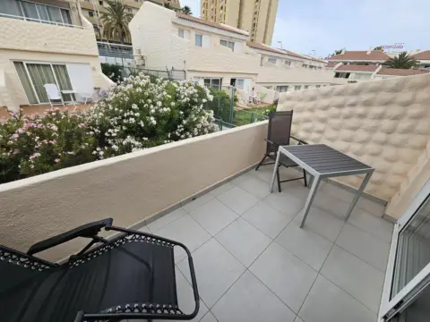 Piso en Avenida del Arquitecto Gómez Cuesta