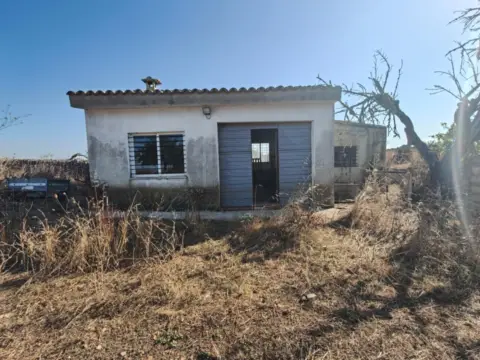 Terreno en Santa Margalida