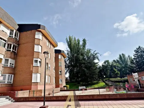 Piso en Avenida de Sánchez Arjona, 1