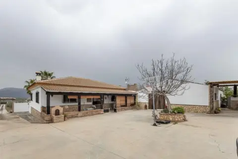 Finca rústica en calle Polígono 9 Paraje 75 Llanos de Moraleda, nº 30