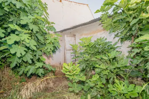 Casa en calle Real, 8