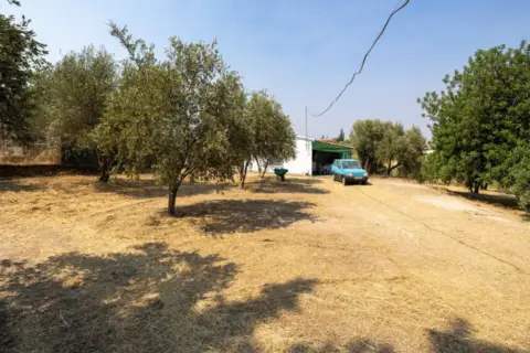 Finca rústica en calle de Moraleda A Cómpeta, nº 22