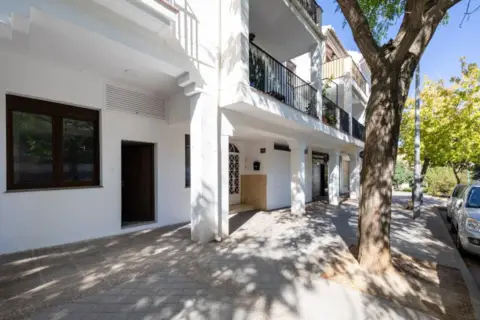 Piso en Camino Real de los Neveros, 4