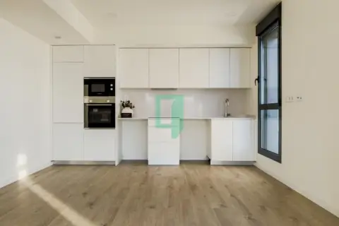 Piso en calle Miquel Xirgu Rico