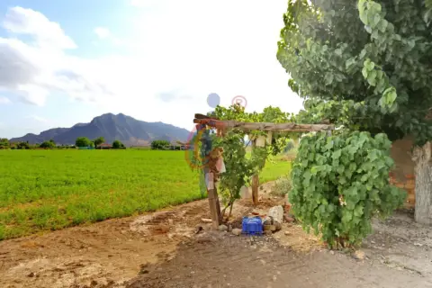 Casa en calle Cañizares, nº 79