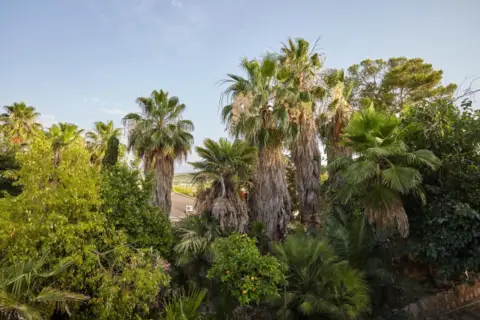 Casa en calle Cadimo, nº 1