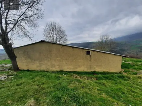 Almacén en Bustriguado