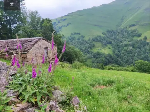 Finca rústica en Vega de Pas