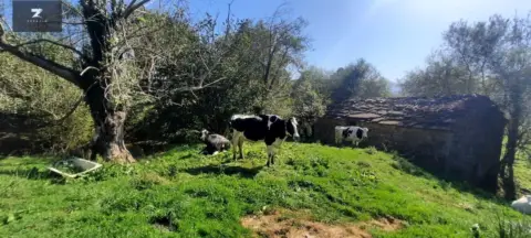 Finca rústica en Centro