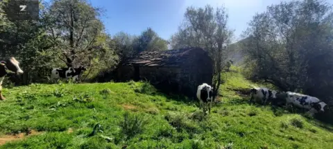 Finca rústica en Centro