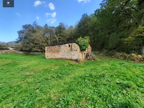 Finca rústica en San Pedro del Romeral