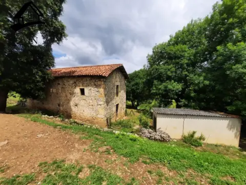 Finca rústica en San Martin 16