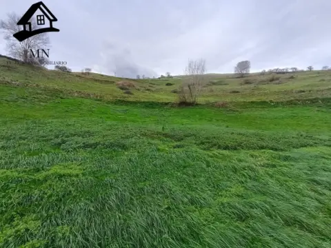 Terreno en San Martin 16