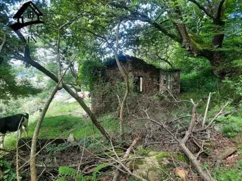 Finca rústica en Campillo