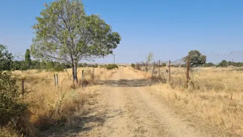 Terreno en Tenzuela