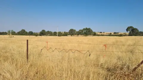 Terreno en Tenzuela