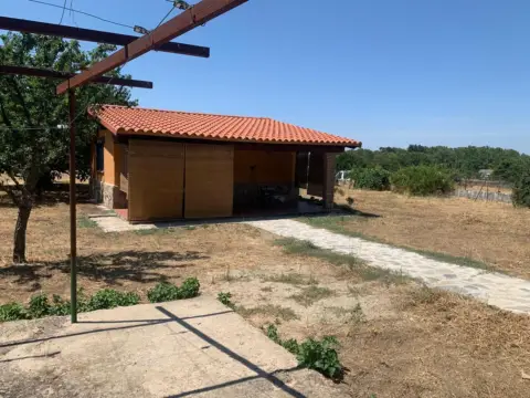 Casa en calle los Pinos