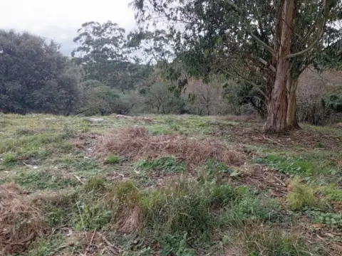 Terreno en Miengo