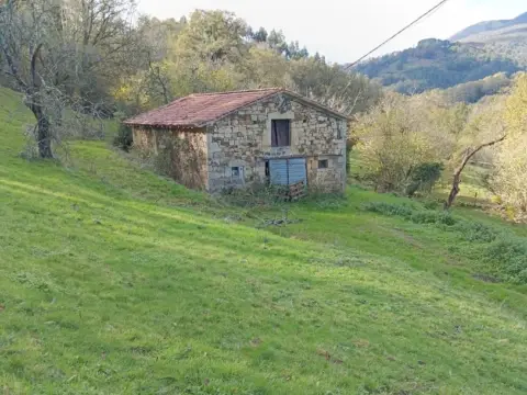 Finca rústica en Coo