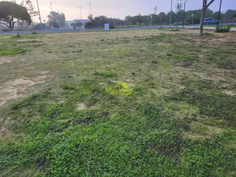 Terreno en Centro