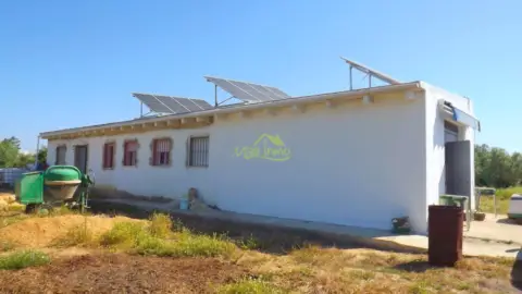 Finca rústica en Avenida de Lepe