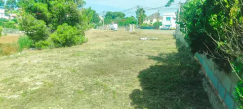 Terreno en calle Hermanos Quintero