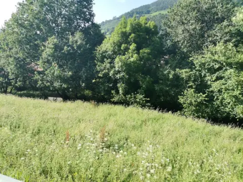 Terreno en calle Tuzo